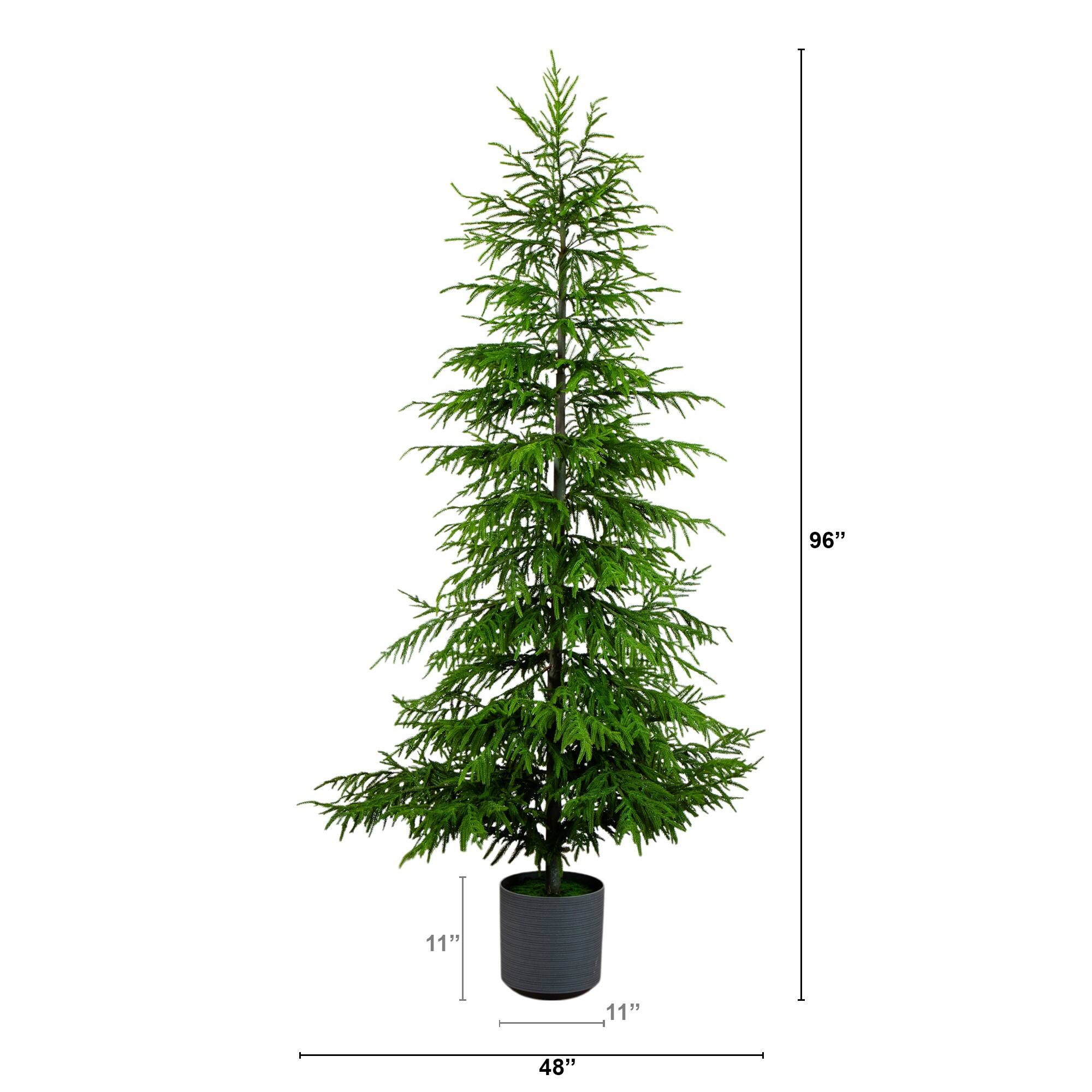 8ft. Unlit Norfolk Island Pine Real Touch Artificial Christmas Tree